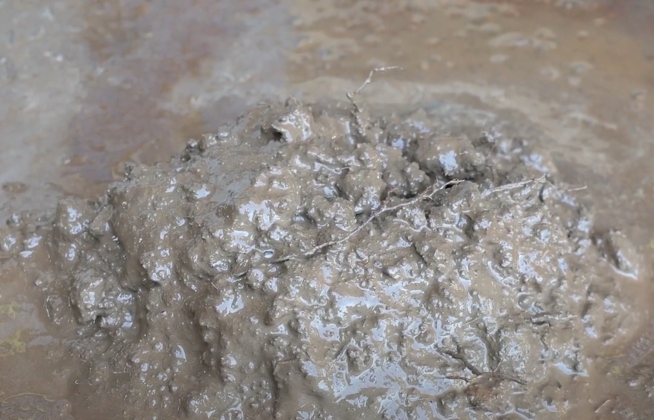 Soil Moisture
